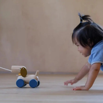 Plan Toys Push & Pull Along Toy - Puppy-Plan Toys-Hello Charlie