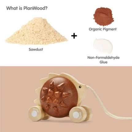 Plan Toys Wooden Pull Along Toy - Hedgehog-Plan Toys-Hello Charlie