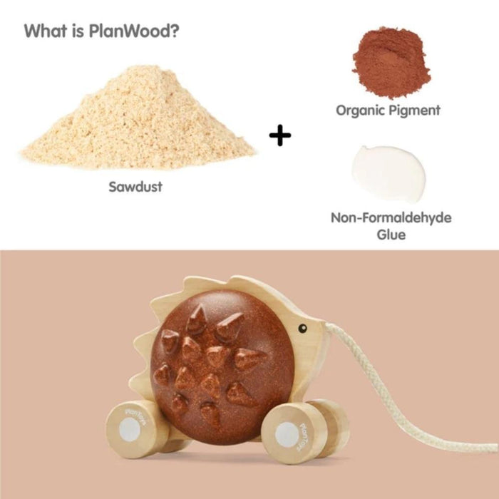 Plan Toys Wooden Pull Along Toy - Hedgehog - Hello Charlie