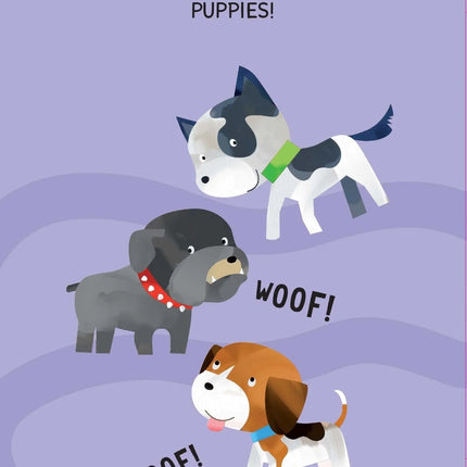 Sassi Junior Pull and Play Book - Numbers-Sassi Junior-Hello Charlie