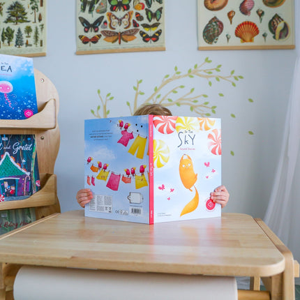 Sassi Junior Sound Book - In the Sky-Sassi Junior-Hello Charlie