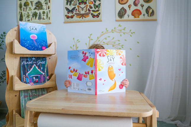 Sassi Junior Sound Book - In the Sky-Sassi Junior-Hello Charlie