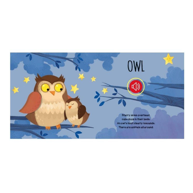 Sassi Junior Sound Book - The Wood-Sassi Junior-Hello Charlie