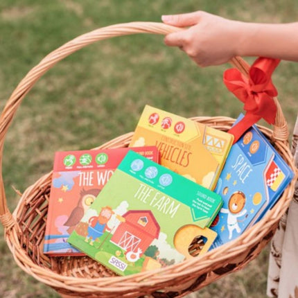 Sassi Junior Sound Book - The Wood-Sassi Junior-Hello Charlie