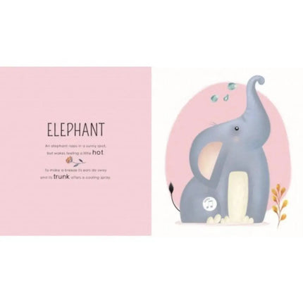 Sassi Junior Sound Book - Who Lives in the Savannah-Sassi Junior-Hello Charlie