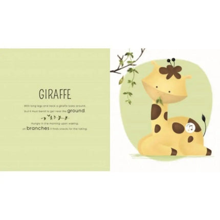 Sassi Junior Sound Book - Who Lives in the Savannah-Sassi Junior-Hello Charlie