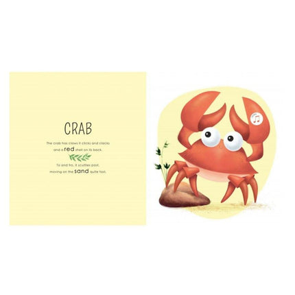 Sassi Junior Sound Book - Who Lives in the Sea-Sassi Junior-Hello Charlie