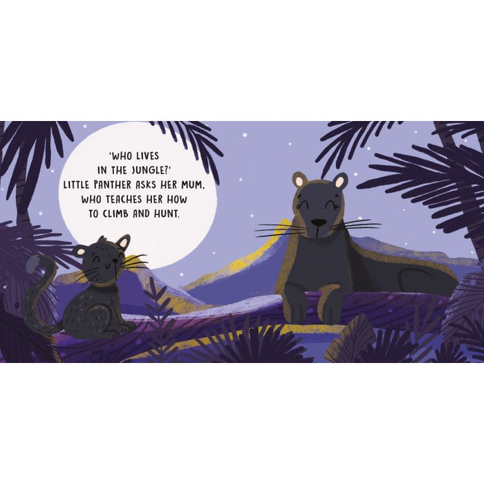 Sassi Board Book Sweet Sounds Stories - The Jungle