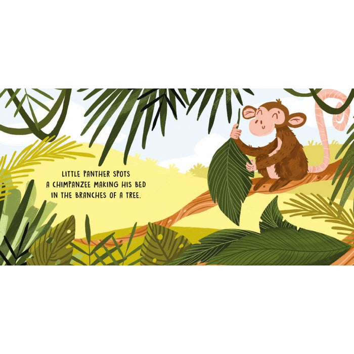 Sassi Board Book Sweet Sounds Stories - The Jungle