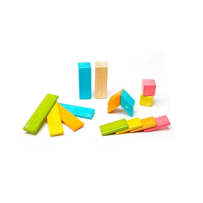 Tegu Magnetic Wooden Blocks 14 pcs - Tints - Hello Charlie