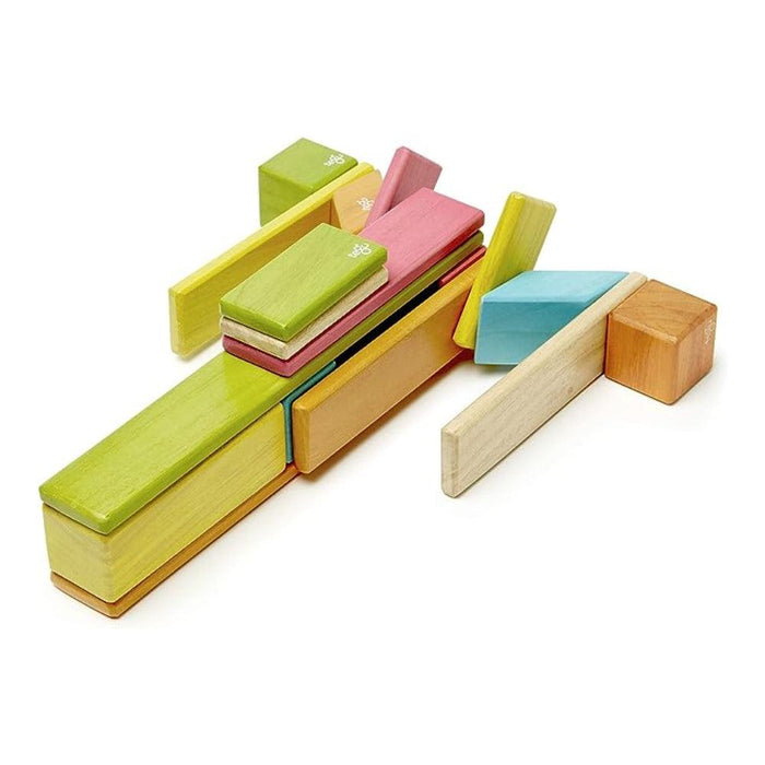 Tegu Magnetic Wooden Blocks 24 pcs - Tints--Hello-Charlie