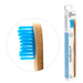 The Humble Co. Adult Medium Toothbrush-Blue-Hello-Charlie