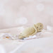 Tikiri Organic Baby Comforter - Turtle - Hello Charlie