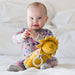 Tikiri Organic Lion Activity Toy - Hello Charlie