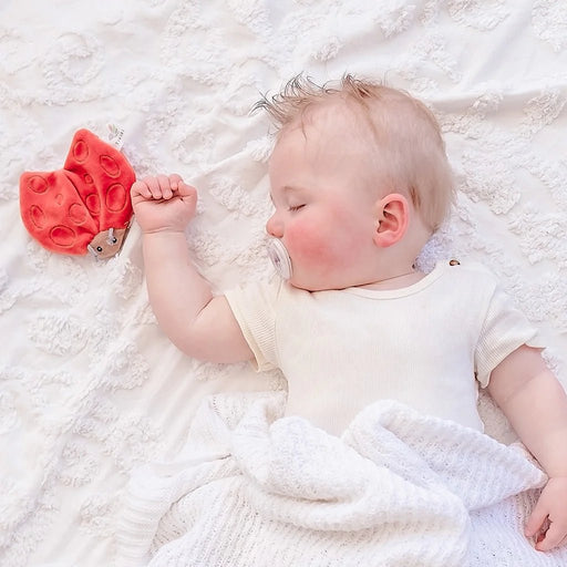 Tikiri Organic Sensory Scrunchie Toy - Ladybug - Hello Charlie