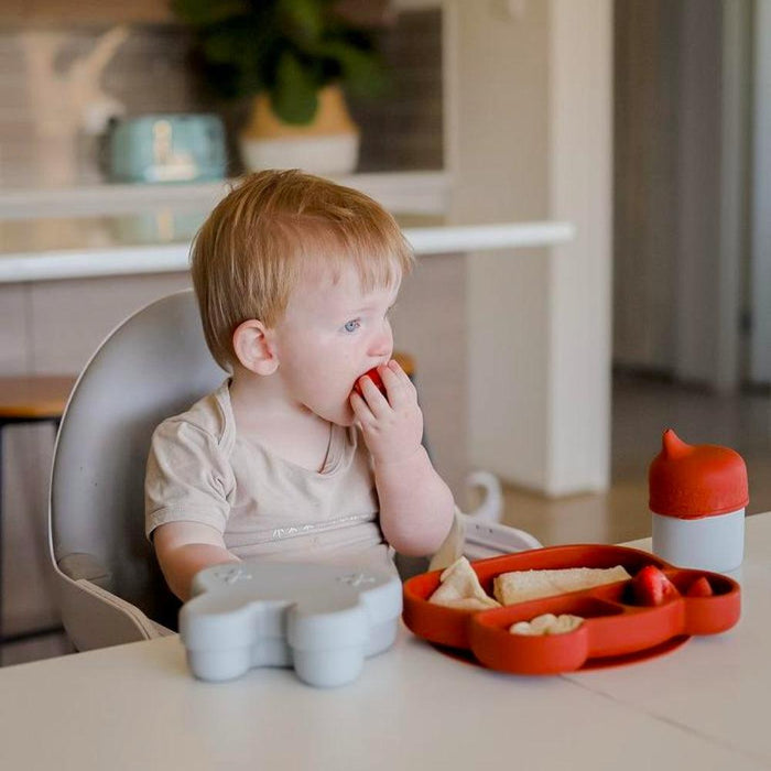 We Might Be Tiny Sippie Lid & Mini Silicone Straw - Rust - Hello Charlie