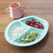 Weanmeister Scoopsy Plate-Mint-Hello-Charlie