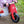 Kinderfeets Tiny Tot Trike & Bike - Cherry Red--Hello-Charlie