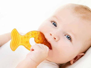 Natural Rubber Soothers - Fish Teether--Hello-Charlie