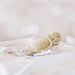 Tikiri Organic Baby Comforter - Turtle--Hello-Charlie