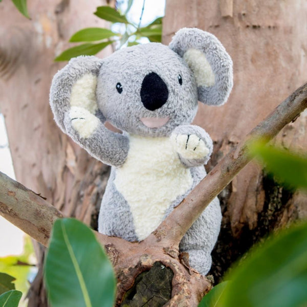 Tikiri Organic Koala Plush Toy--Hello-Charlie